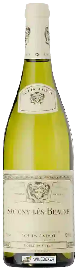 Winery Louis Jadot - Savigny-lès-Beaune Blanc