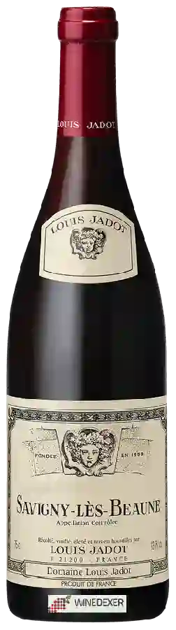 Winery Louis Jadot - Savigny-lès-Beaune