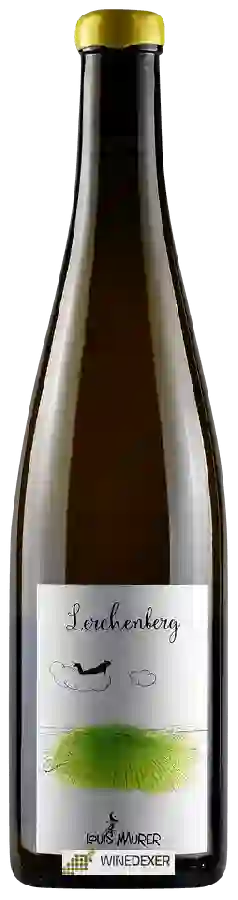 Winery Louis Maurer - Lerchenberg Winery Louis Maurer - Lerchenberg