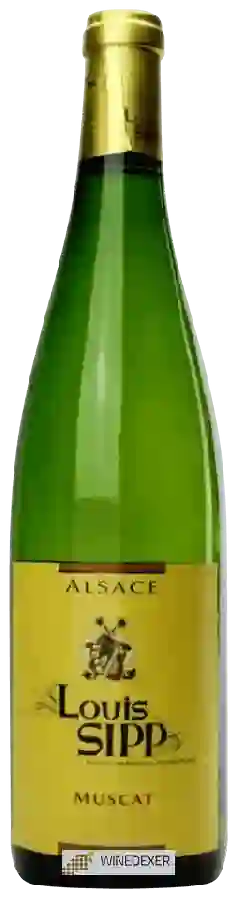 Winery Louis Sipp - Muscat