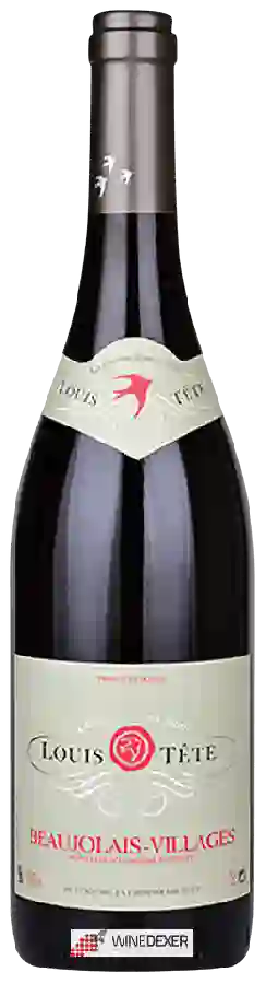 Winery Louis Tête - Beaujolais-Villages