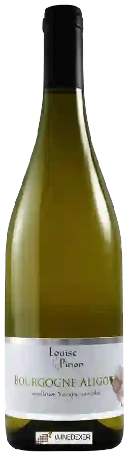 Winery Louise Pinon - Bourgogne Aligoté Winery Louise Pinon - Bourgogne Aligoté