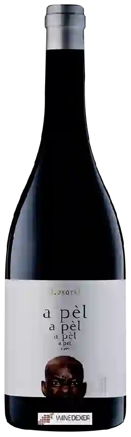 Winery Loxarel - A Pèl Tinto