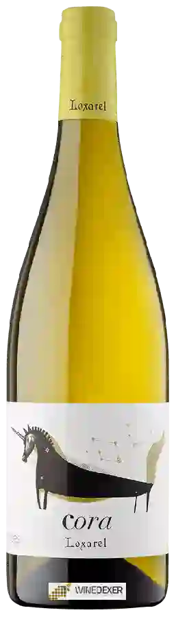 Winery Loxarel - Cora Blanco