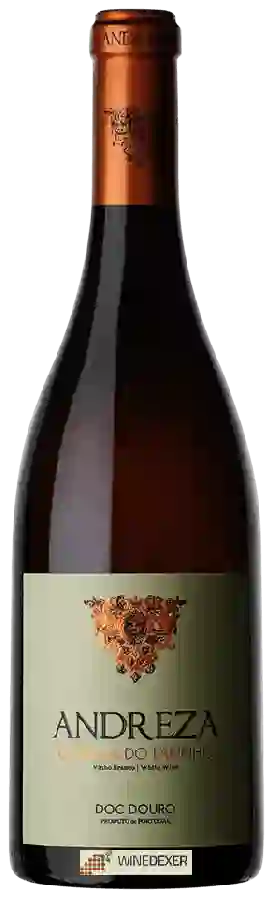 Winery Lua Cheia - Saven - Andreza Códega do Larinho