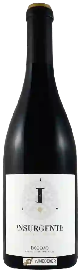 Winery Lua Cheia - Saven - Insurgente Tinto