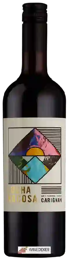 Winery Lucha Rocosa - Carignan Winery Lucha Rocosa - Carignan