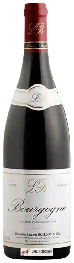 Winery Lucien Boillot & Fils - Bourgogne