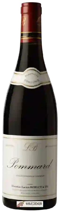 Winery Lucien Boillot & Fils - Pommard