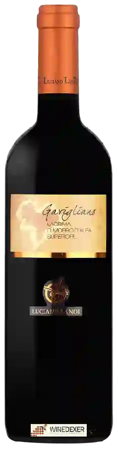 Winery Luciano Landi - Gavigliano Lacrima di Morro d'Alba Superiore