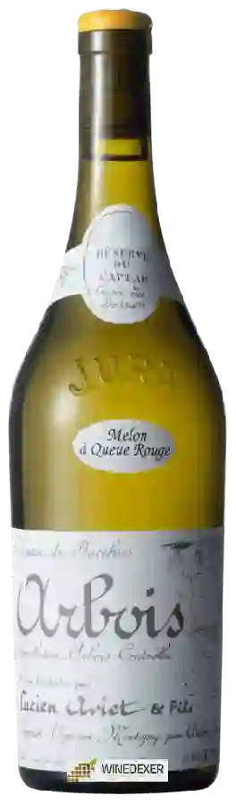 Lucien Aviet et Fils - Caveau de Bacchus - Reserve du Caveau Melon à Queue Rouge