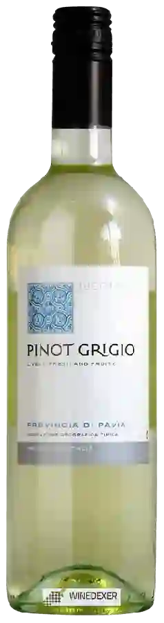 Winery Lucotto - Pinot Grigio