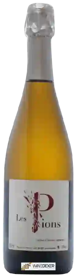 Winery Ludovic Chanson - Les Pions