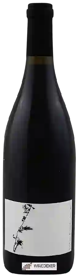 Winery Ludovic Engelvin - Les Vieux Ronsard Winery Ludovic Engelvin - Les Vieux Ronsard