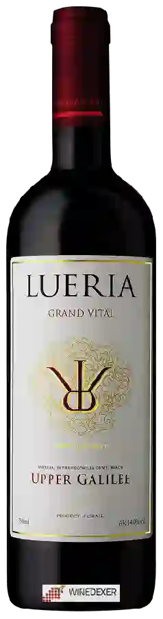 Winery Lueria - Grand Vitál