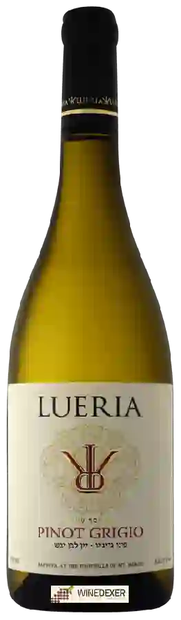 Winery Lueria - Pinot Grigio