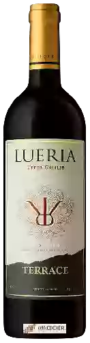 Winery Lueria - Terrace