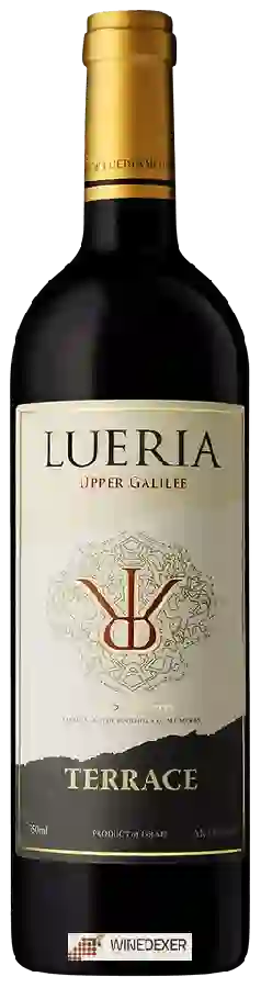 Winery Lueria - Terrace