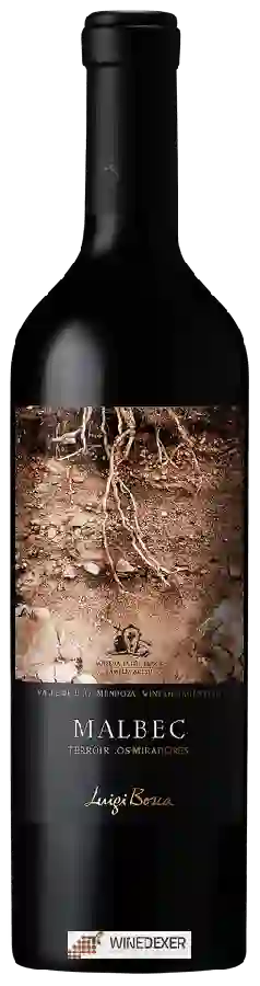 Winery Luigi Bosca - Terroir Los Miradores Malbec