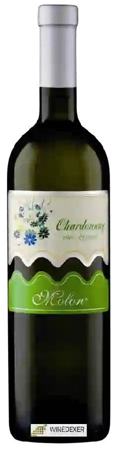 Winery Molon Luigino - Chardonnay Frizzante Winery Molon Luigino - Chardonnay Frizzante