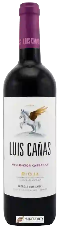 Winery Luis Cañas - Rioja Alavesa