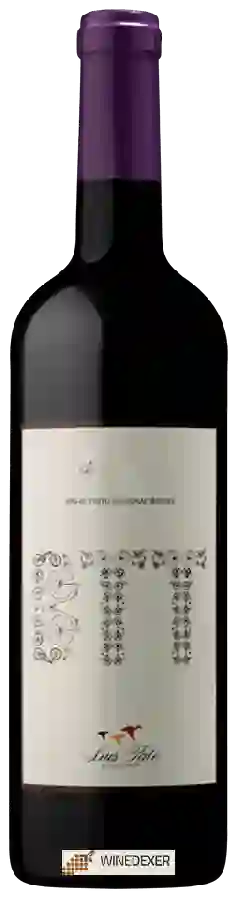 Winery Luis Pato - BTT