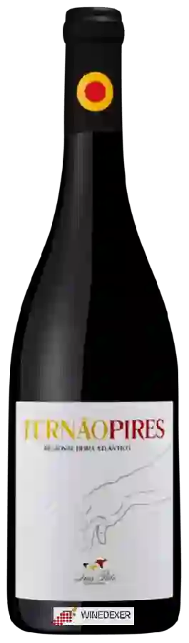 Winery Luis Pato - Fernão Pires Beiras Winery Luis Pato - Fernão Pires Beiras