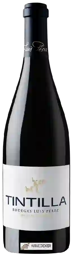 Bodegas Luis Perez - Tintilla