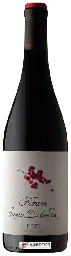 Winery Luna Beberide - Finca Luna Beberide