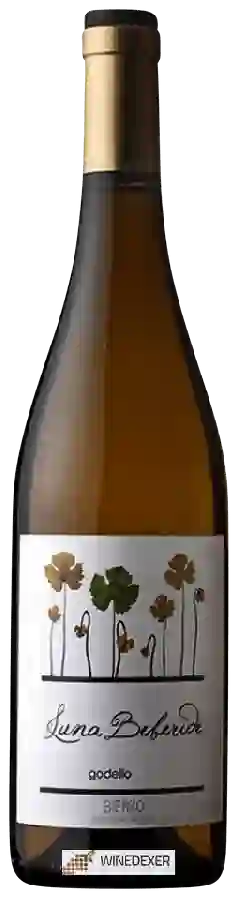 Winery Luna Beberide - Godello Bierzo LB Winery Luna Beberide - Godello Bierzo LB