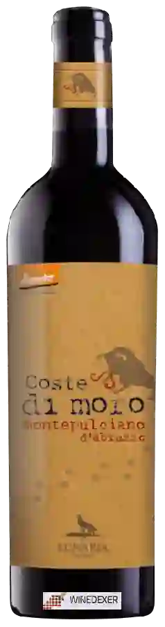 Winery Lunaria - Coste di Moro Montepulciano d'Abruzzo Winery Lunaria - Coste di Moro Montepulciano d'Abruzzo