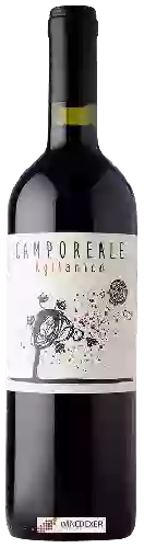 Winery Lunarossa - Camporeale Aglianico