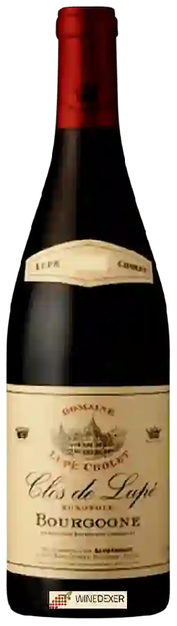 Winery Lupé-Cholet - Bourgogne Clos de Lupé
