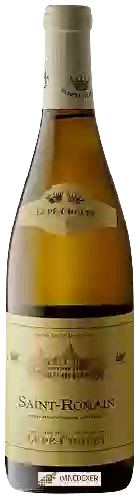 Winery Lupé-Cholet - Saint-Romain
