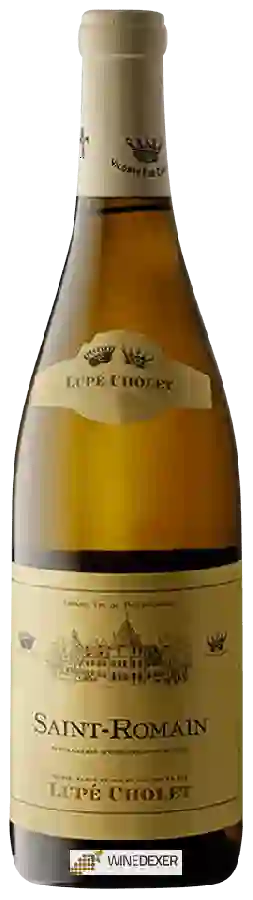 Winery Lupé-Cholet - Saint-Romain