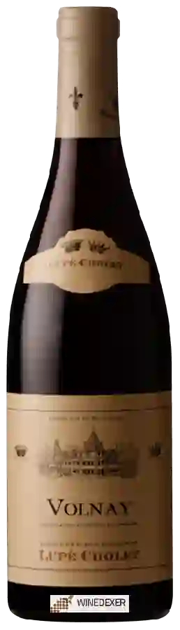 Winery Lupé-Cholet - Volnay