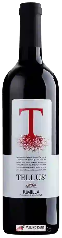 Winery Luzon - Jumilla Joven Tellus