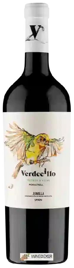 Winery Luzon - Verdecillo