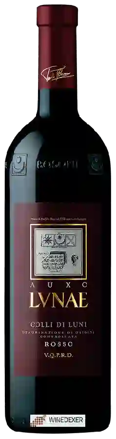 Winery Lvnae - Auxo Colli di Luni