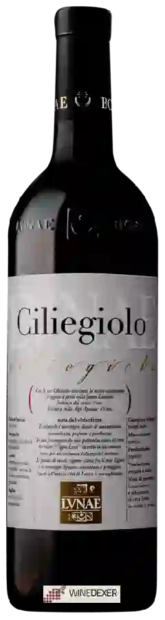 Winery Lvnae - Ciliegiolo