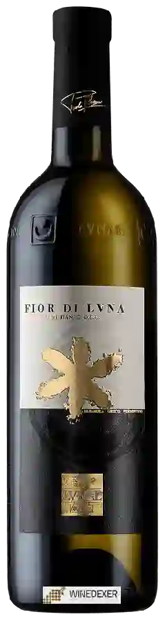 Winery Lvnae - Fior di Luna