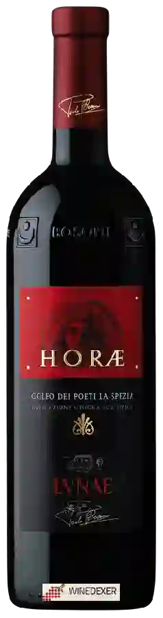 Winery Lvnae - Horae Liguria di Levante Winery Lvnae - Horae Liguria di Levante