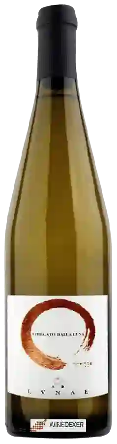Winery Lvnae - Stregato dalla Luna