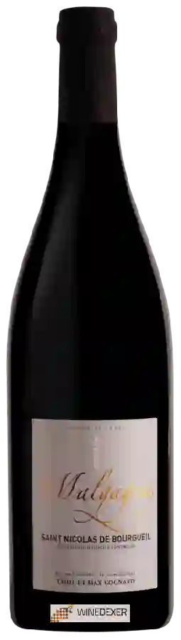 Winery Vins Cognard - Cuvée les Malgagnes Saint-Nicolas-de-Bourgueil