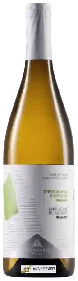 Winery Lyrarakis - Ippodromos Vineyard Vidiano Winery Lyrarakis - Ippodromos Vineyard Vidiano