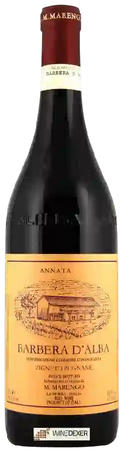 Winery M. Marengo - Vigneto Pugnane Barbera d'Alba