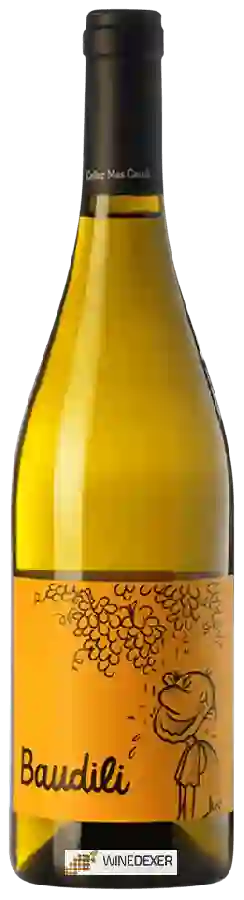 Winery Celler la Salada - Baudili