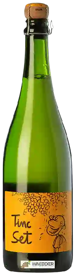 Winery Celler la Salada - Tinc Set