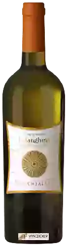 Winery Macchialupa - Falanghina Beneventano