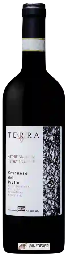 Winery Macciocca - Terra Cesanese del Piglio